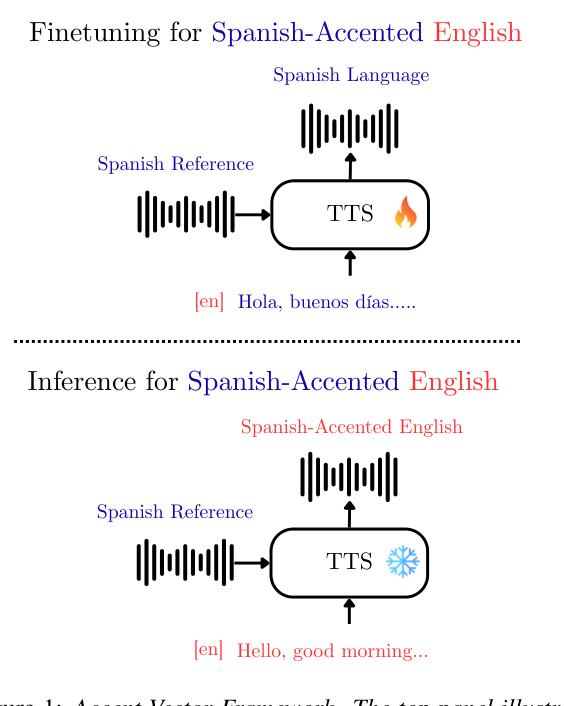 Figure 1: Accent Vector Framework. The top panel illustrates the fine-tuning procedure, and the bottom panel shows the inference process for generating accented speech. During inference, a language ID token (e.g., [en]) is concatenated with the transcript and provided as input to the model.