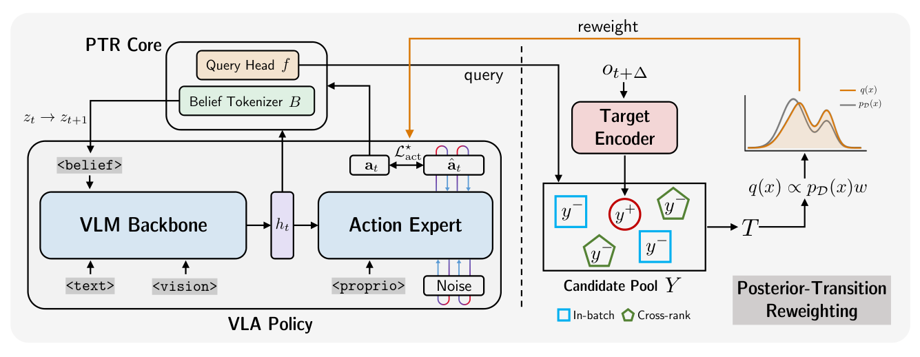 Figure 1: Overview of PTR. Left: the standard policy stack (backbone + action expert) is augmented with a lightweight scorer and a BeliefTokenizer. Right: for each training chunk, the scorer identifies the matched post-action target among mismatched candidates; the resulting identification posterior is converted into a conservative weight that rescales the supervised action loss. No reward labels or policy likelihoods are needed.