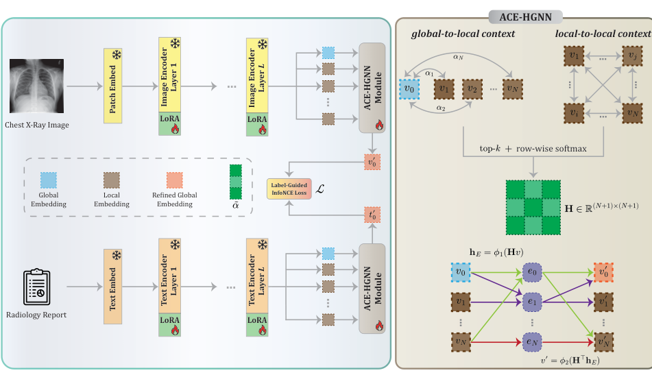 Figure 1: Overview of ACE-LORA. ACE-LORA integrates low-rank adaptation modules into self-attention blocks of image and text encoders in a generalist medical VLM, and introduces ACE-HGNN, a hypergraph-based module that models high-order topological dependencies between local (e.g., image patches or report snippets) and global embeddings. For clarity, ACE-HGNN is described using image embeddings, though the same procedure is applied to text embeddings.