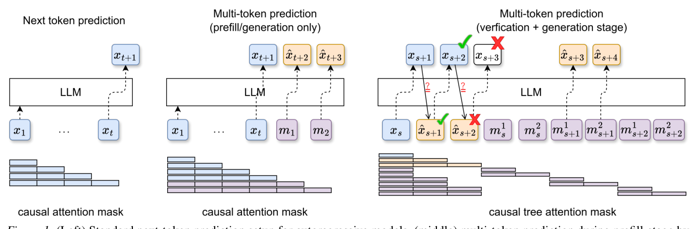 Figure 1: (Left) Standard next-token prediction setup for autoregressive models, (middle) multi-token prediction during prefill-stage by probing mask tokens which are appended to prompt tokens, (right) multi-token prediction with parallel verification and generation. Mask tokens are associated with last generated token (xs) and future tokens (xˆs+1, xˆs+2) through custom tree attention mask.