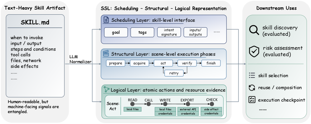 Figure 1: SSL 표현의 구조적 구성요소 개요