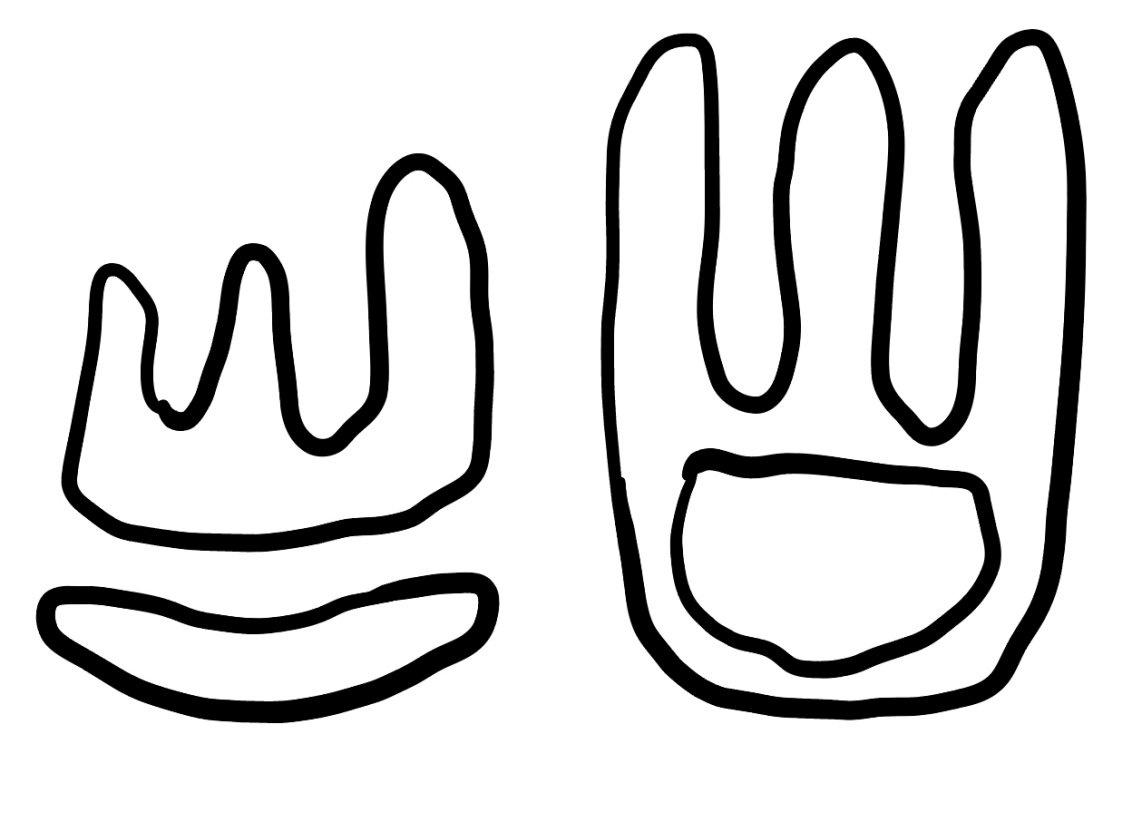 Figure 1: CurveBench 데이터셋 예시