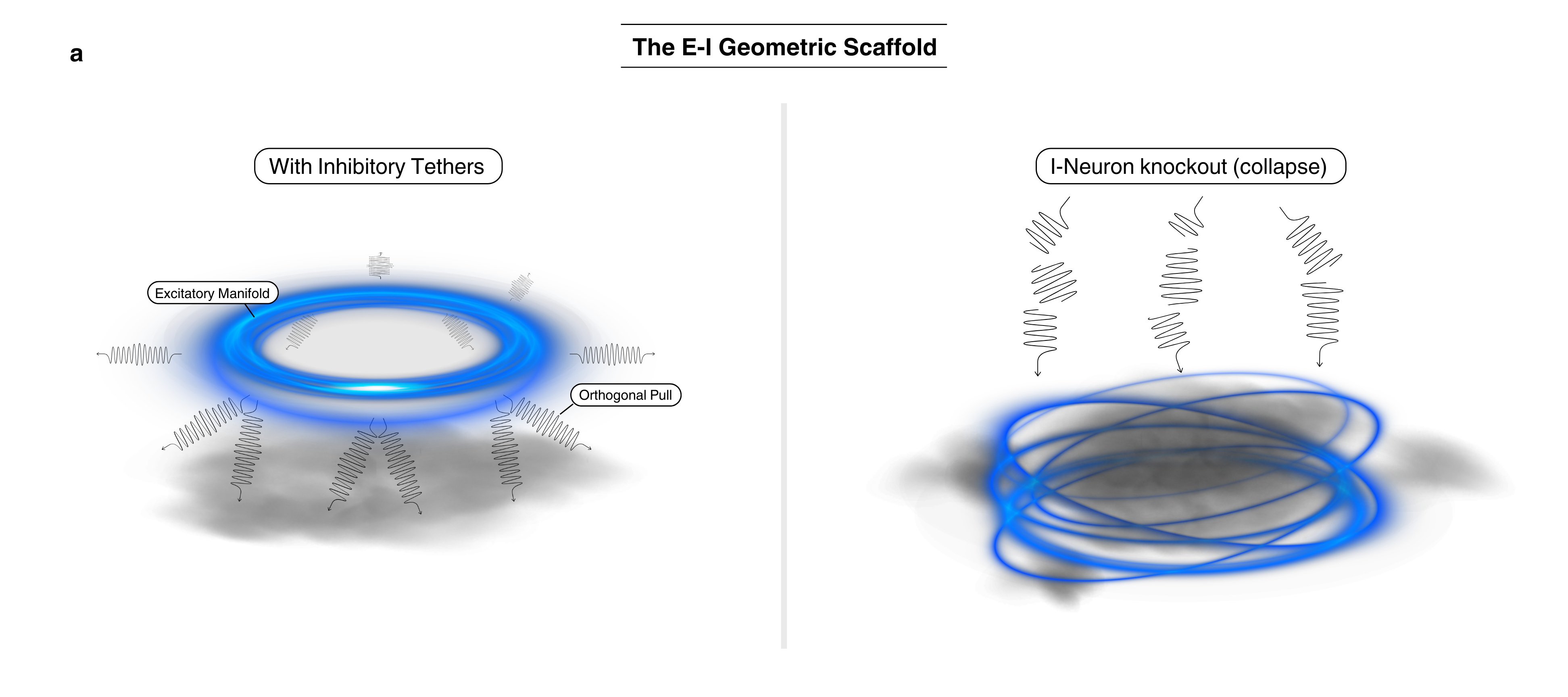 Figure 2: E-I 회로의 기하학적 시너지