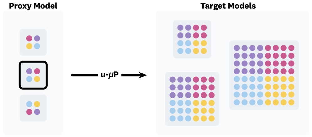 Figure 4: u-μP 기반 하이퍼파라미터 전이