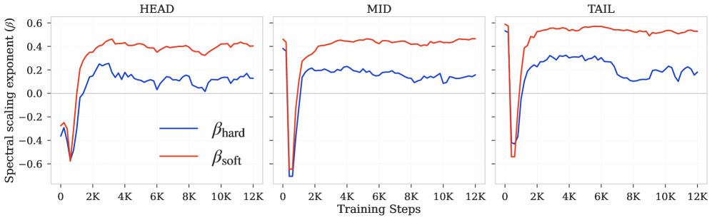 Figure 3: 장기 학습 시 Hard-rank 퇴화 현상