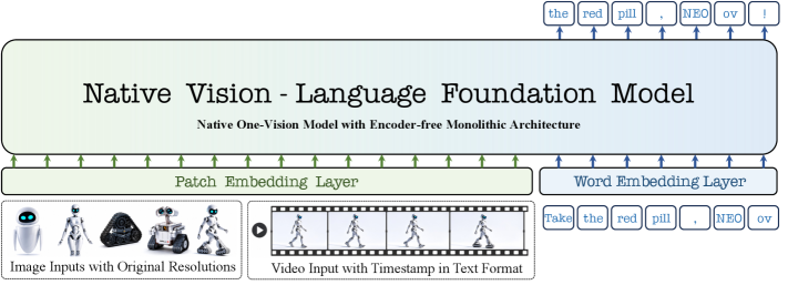 Figure 1: NEO-ov 모델 아키텍처 개요