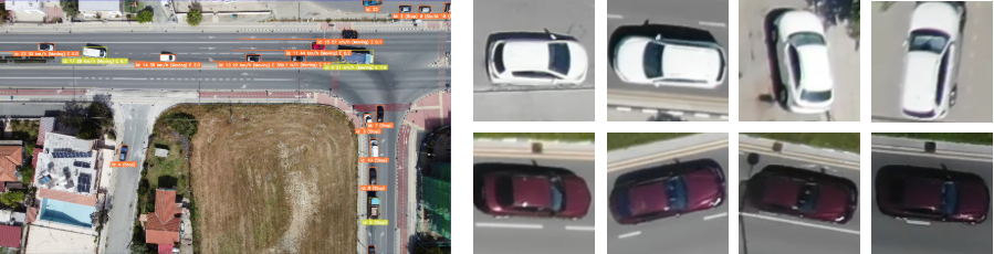 Figure 2: nadir-view 감시의 시각적 난제