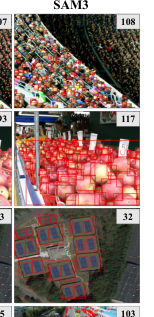 Table 5: 제안한 dual-granularity 구조와 퓨전 규칙의 유효성을 보여주는 핵심 ablation 결과표