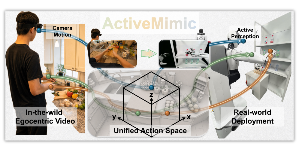Figure 1: ActiveMimic 개념도