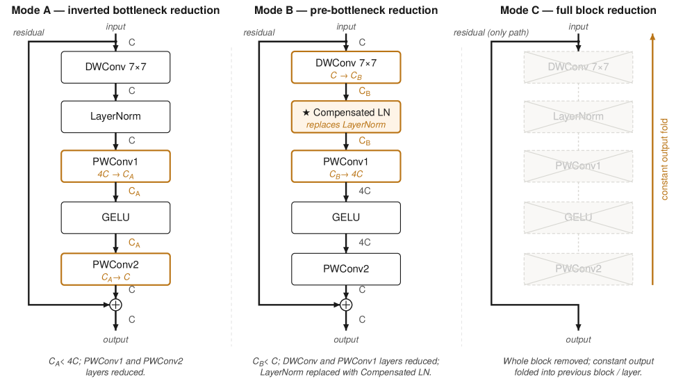 Figure 2: ConvNeXt 블록의 3단계 Minimization 모드