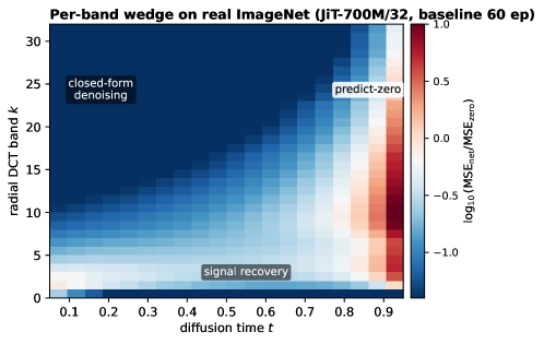 Figure 3: ImageNet에서 확인된 wedge 구조