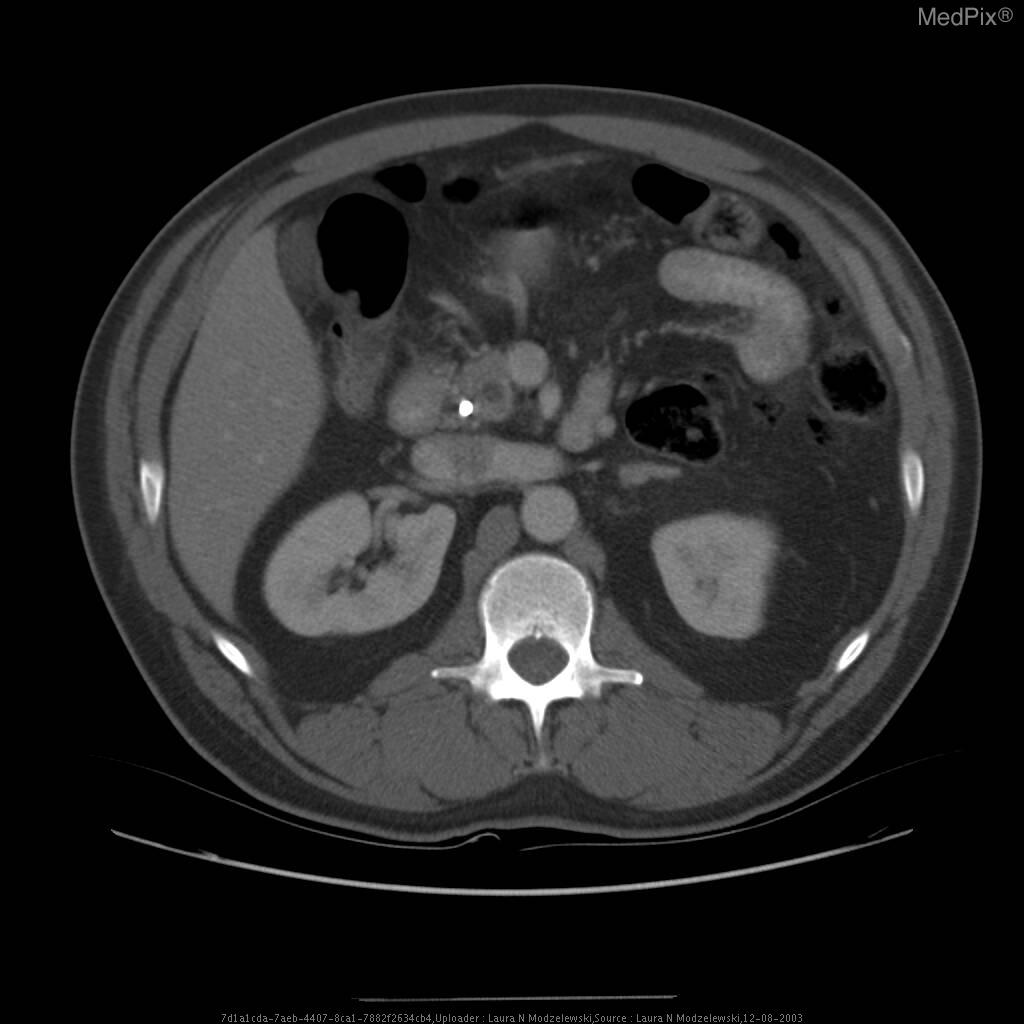 Figure 1: Medical VQA 예시 및 판정