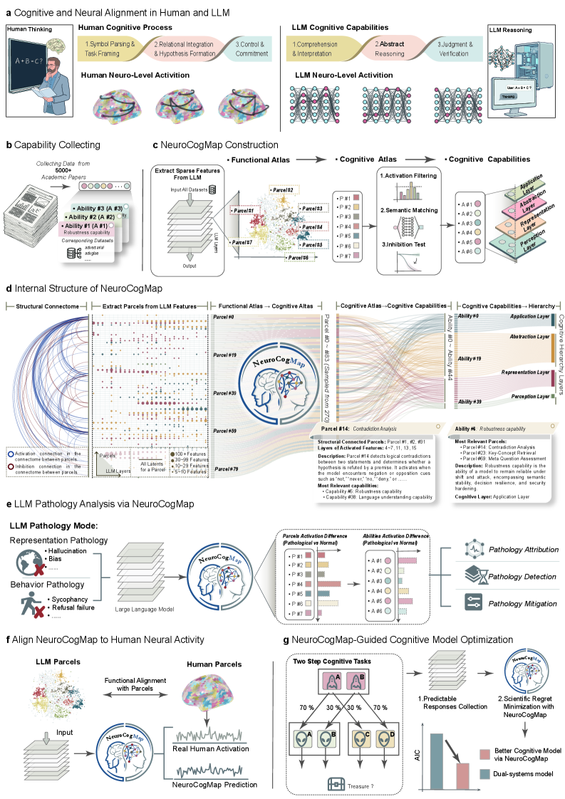 Figure 1: NeuroCogMap의 다층적 구조