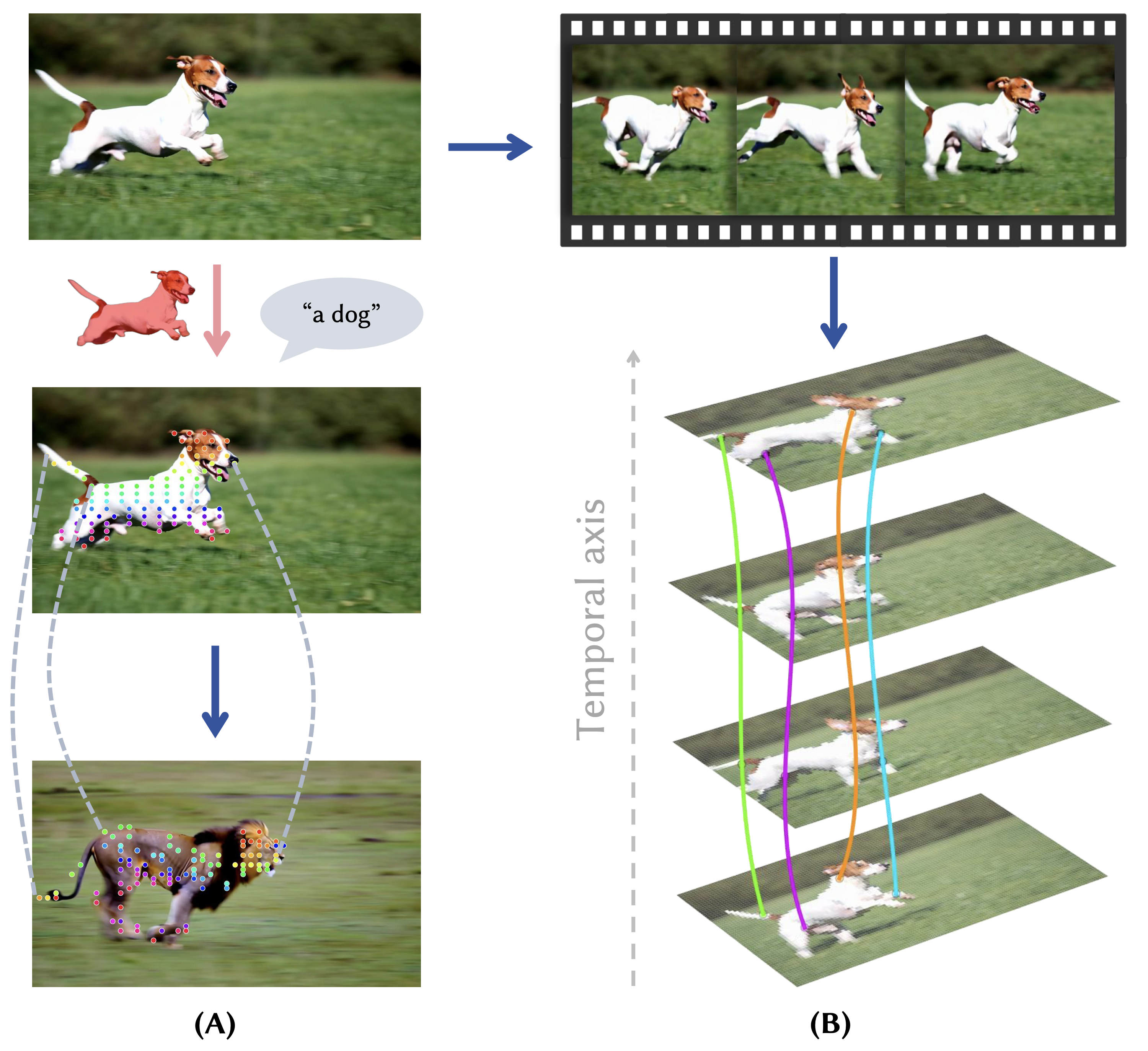 Figure 3: 영상/이미지 간 대응 관계 구축