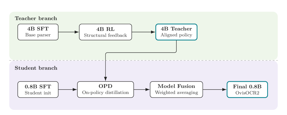 Figure 3: OvisOCR2의 2-branch 학습 구조