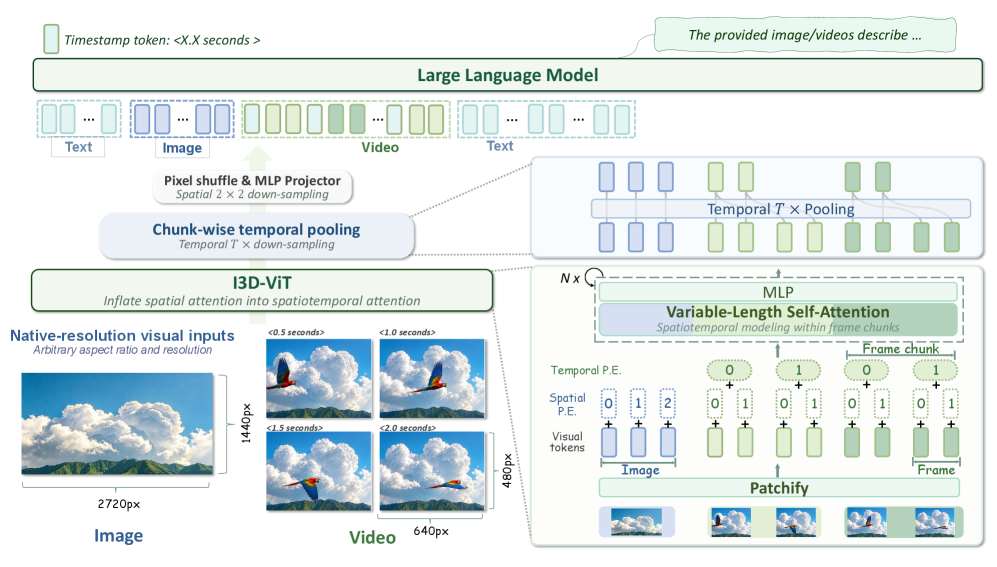 Figure 2: I3D-ViT 아키텍처