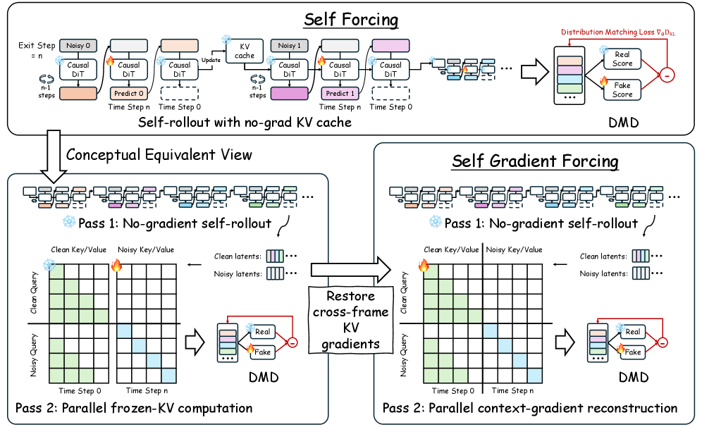 Figure 2: Self Forcing과 SGF의 구조 비교