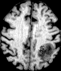Figure 3: 공동 세분화 시각화 분석 결과