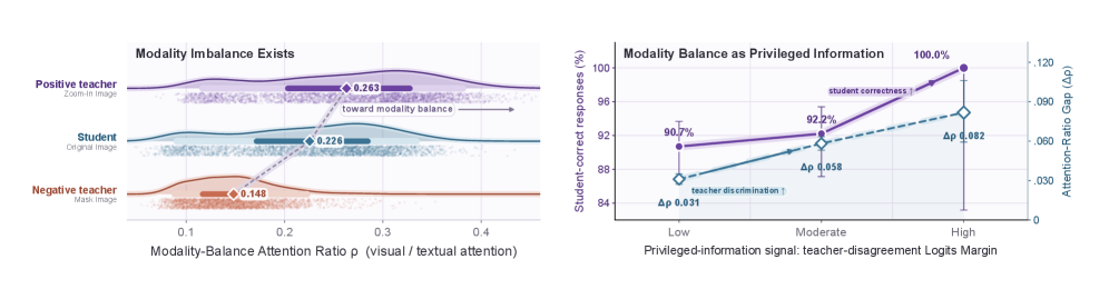 Figure 1: Modality Balance를 활용한 privileged 정보 시각화