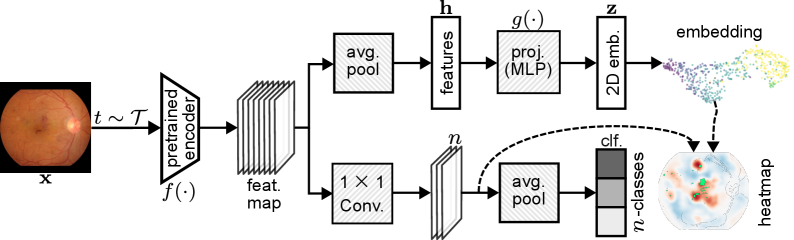 Figure 1: Dual-IFM 전체 아키텍처