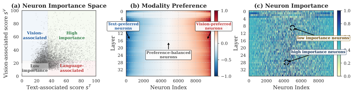 Figure 2: 뉴런별 모달리티 선호도 및 중요도