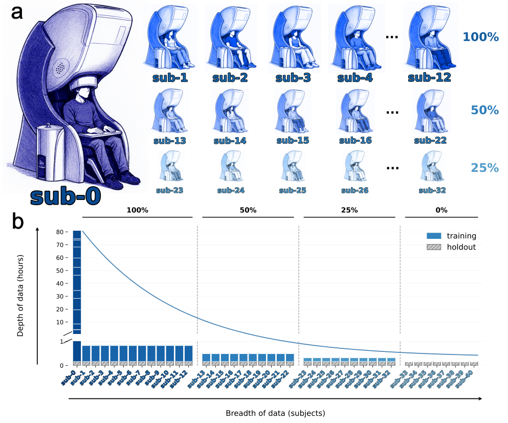 Figure 1: LibriBrain100의 피험자 데이터 구성
