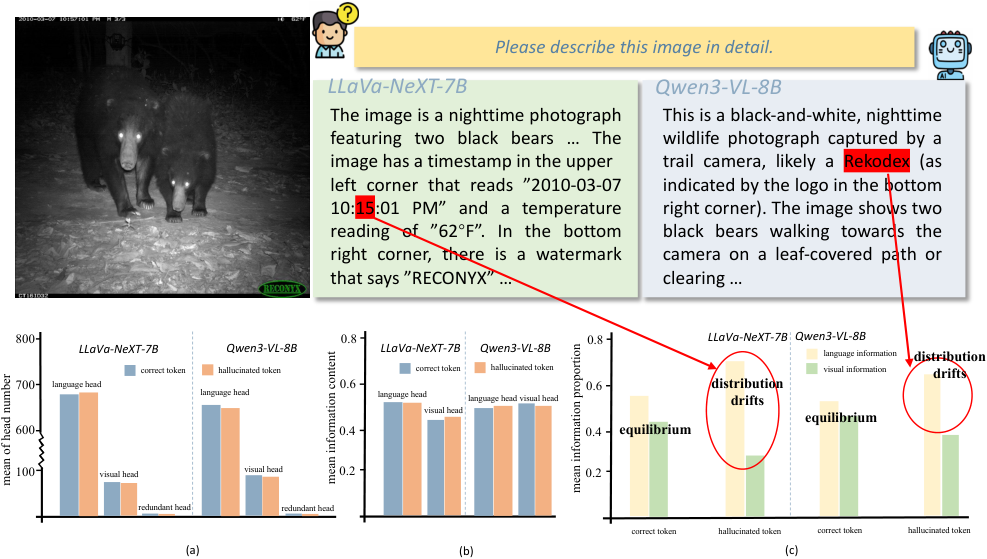 Figure 1: Hallucination 시 Head 정보 분석