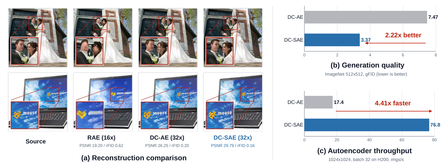Figure 1: DC-SAE 개요 및 장점