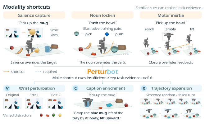 Figure 1: Modality shortcuts 및 Perturbot 개요