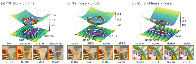 Figure 2: JLD의 지역적 기하학적 Contours