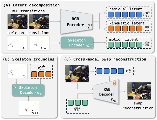 Figure 2: Skeleton-grounded 학습 방식